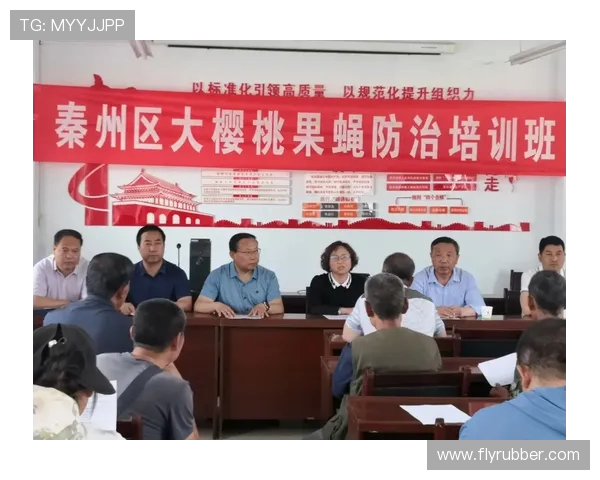 飞盘新手必看：从零基础到高手的全面提升指南