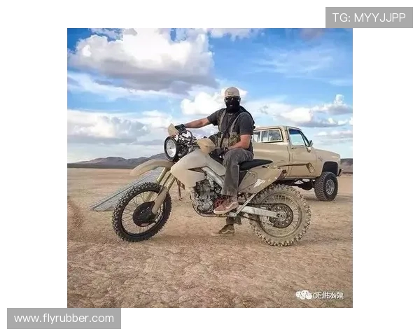 滑板战术解析:探索上海滑板队的阵地战斗策略与技巧